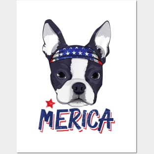 Boston Terrier Merica Bandana USA Flag 4th Of July Posters and Art